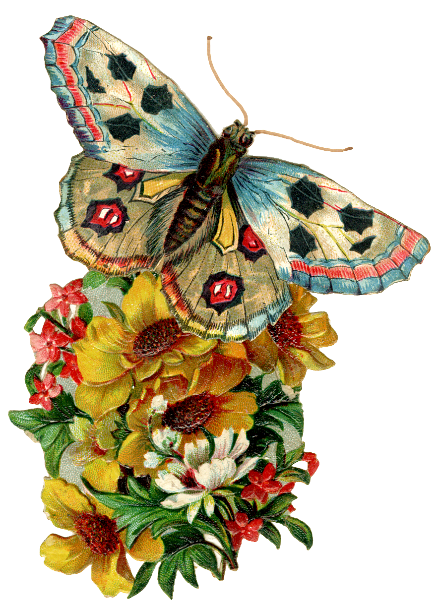 Butterfly clipart Archives - The Cottage Market